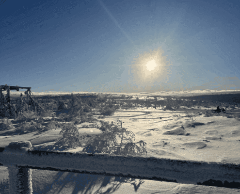 Uge 7 skolernes vinterferie 2026 hos Kildeskovshallens Fysioterapi i Gentofte – træning, bassinhold og åbningstider